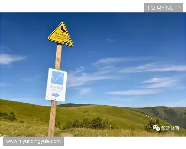 云顶集团官网首页入口：详细介绍云顶官网首页入口的最新导航方式与操作流程