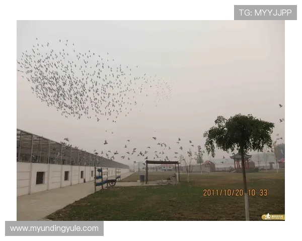 云顶集团进入官网首页:全面了解云顶集团最新动态与官方入口指南 云顶集团进入官网首页:全面了解云顶集团最新动态与官方入口指南