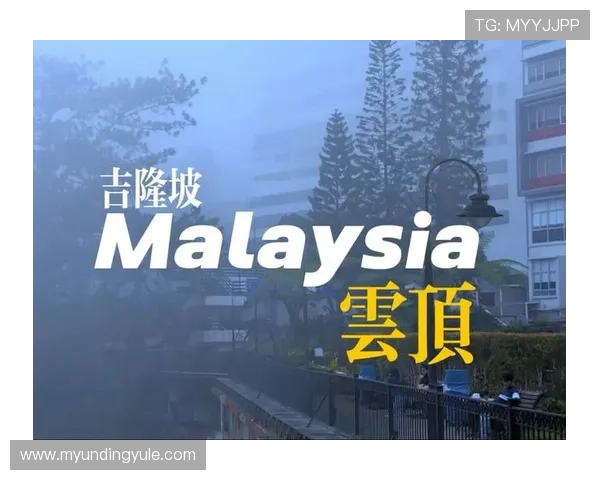 马来西亚云顶网址最新入口更新，及时掌握官方公告避免登录风险与封号问题