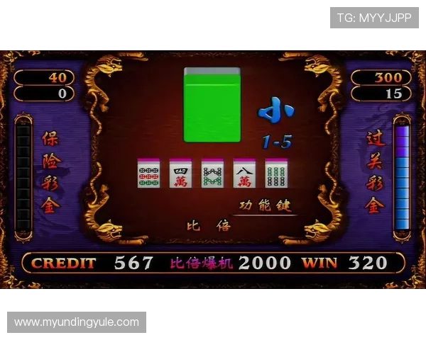 龙虎棋牌平台正规合法运营，确保每一位玩家的游戏权益得到保障